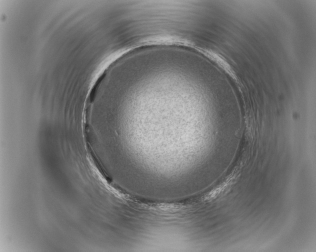 X0000059080839200510172027