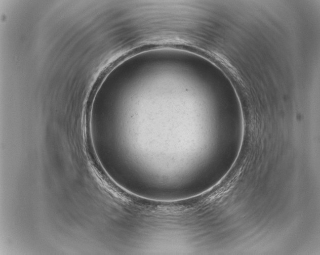 X0000059080840200510172027