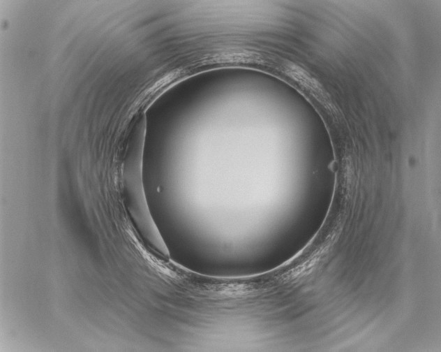 X0000059080841200510172027