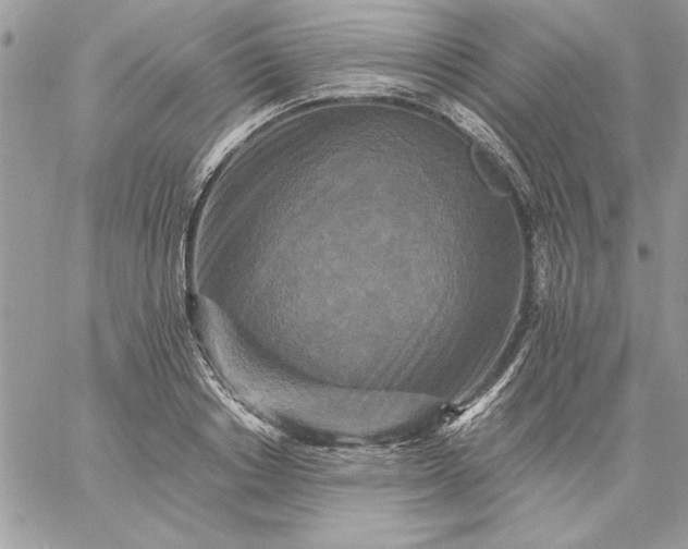 X0000059080842200510172028