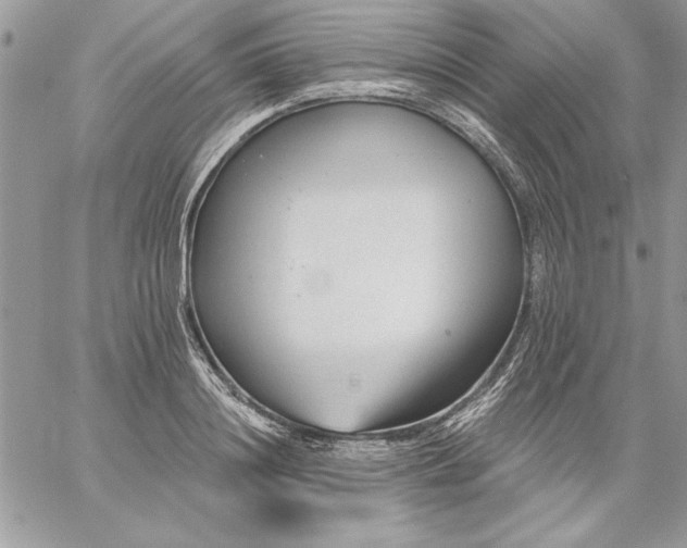 X0000059080844200510172028