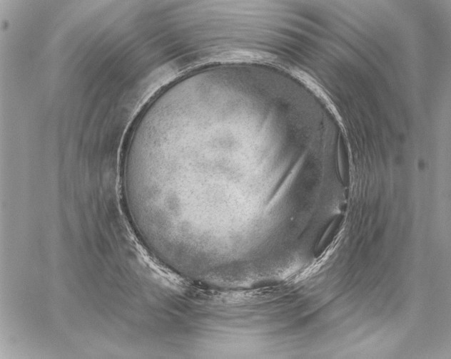 X0000059080845200510172028