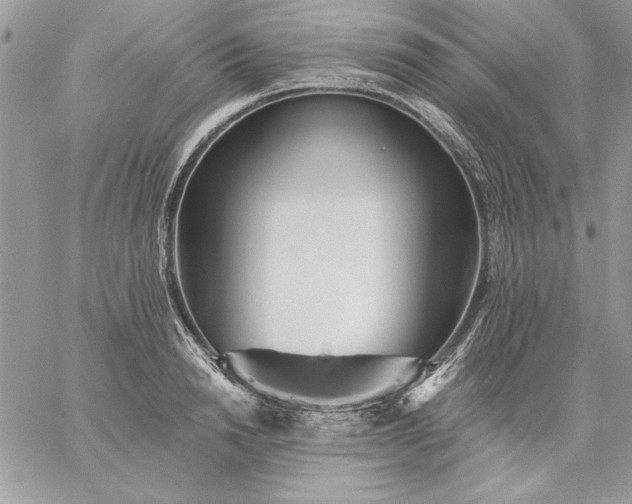 X0000059080846200510172028