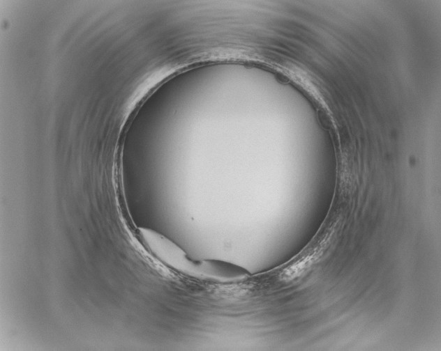 X0000059080847200510172028