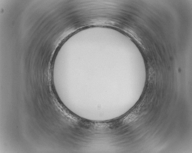 X0000059080848200510172028