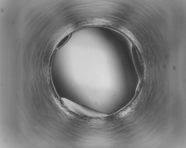 X0000059080850200510172028