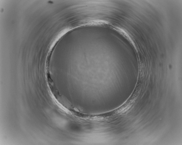 X0000059080851200510172028