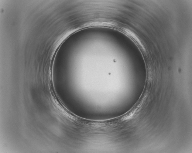 X0000059080852200510172028