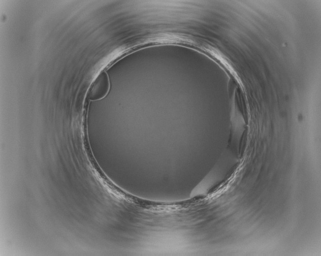 X0000059080853200510172028