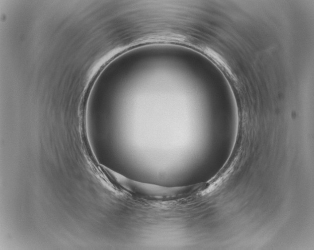 X0000059080854200510172028