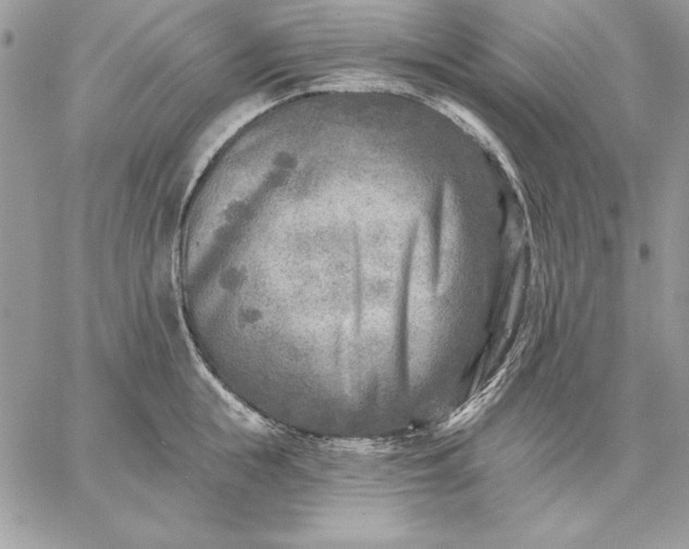 X0000059080855200510172028