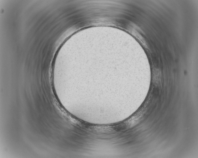 X0000059080856200510172028