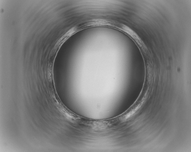 X0000059080857200510172028