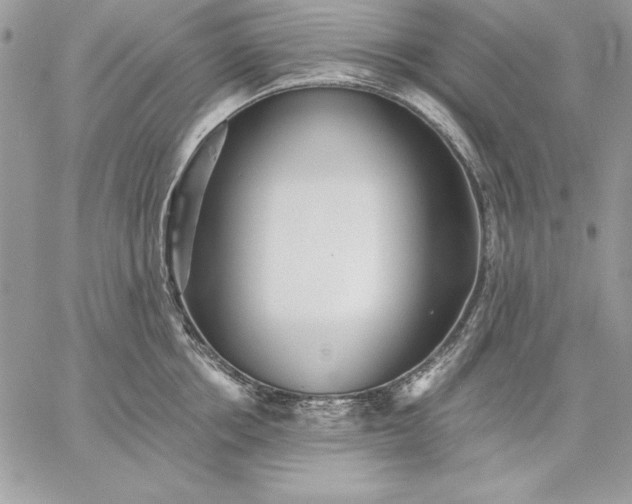 X0000059080858200510172028