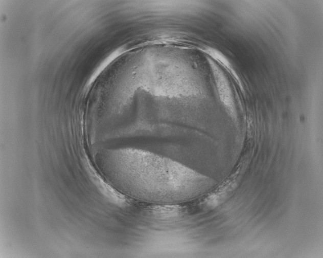 X0000059080859200510172028