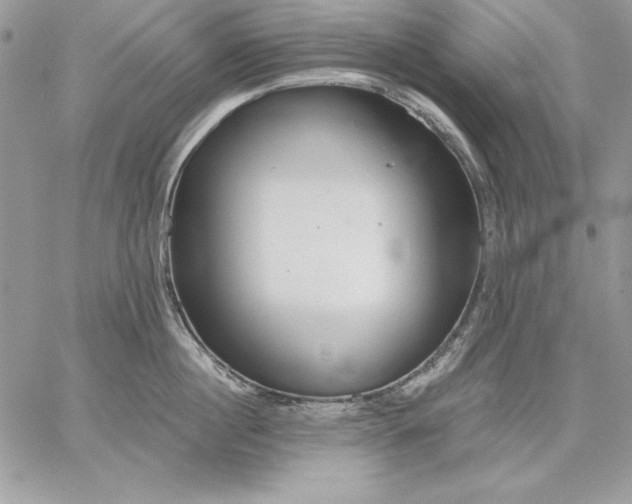 X0000059080860200510172028