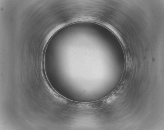 X0000059080861200510172028