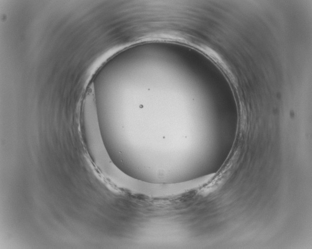 X0000059080862200510172028