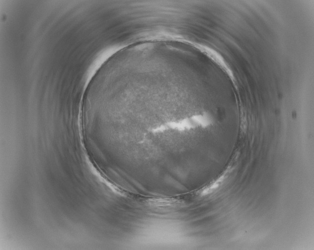 X0000059080863200510172028