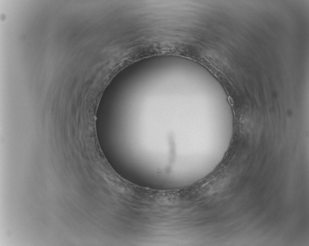 X0000059080865200510172027