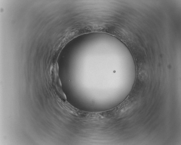 X0000059080866200510172027