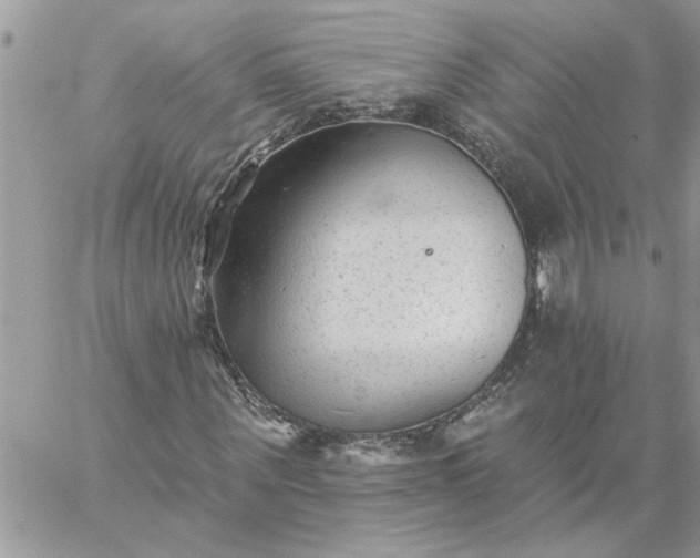 X0000059080867200510172027