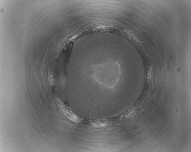 X0000059080868200510172027