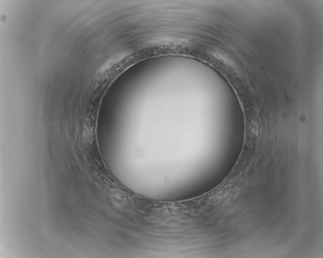 X0000059080869200510172027