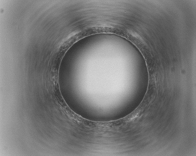 X0000059080870200510172027