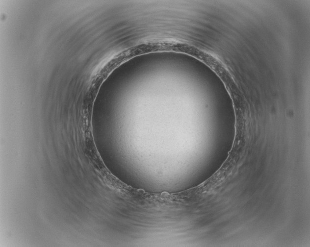 X0000059080871200510172027