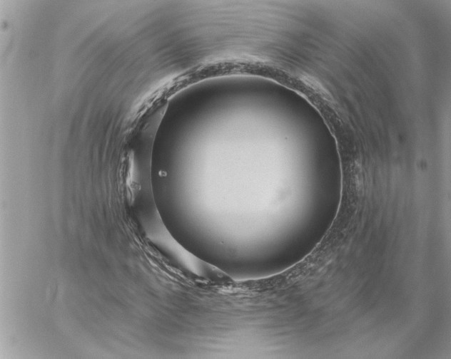 X0000059080872200510172027