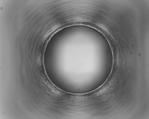 X0000059080873200510172027