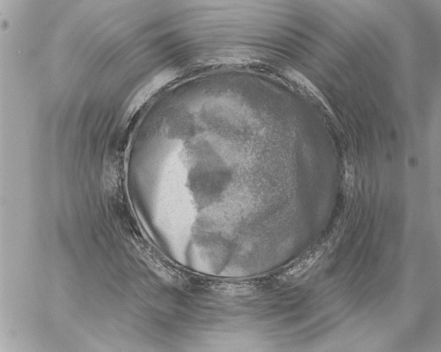 X0000059080874200510172027