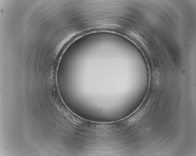 X0000059080875200510172027