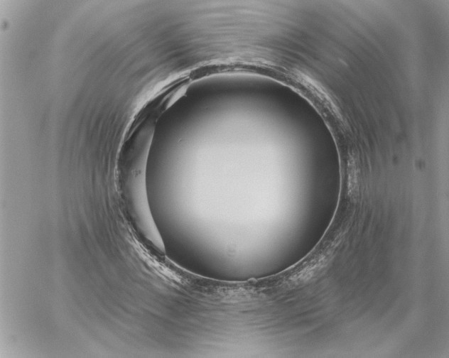 X0000059080876200510172027