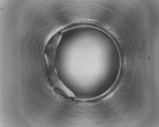 X0000059080877200510172027