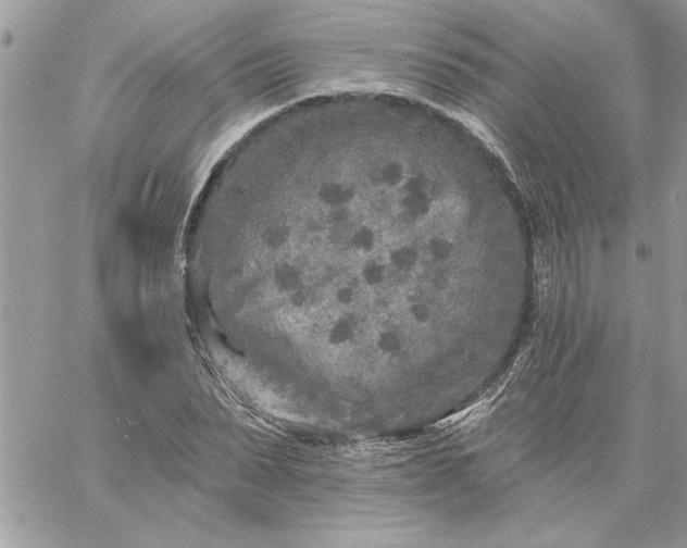 X0000059080879200510172027