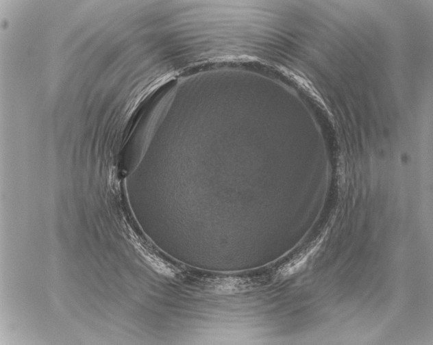 X0000059080881200510172027