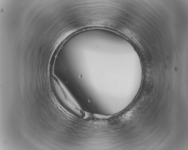 X0000059080884200510172027