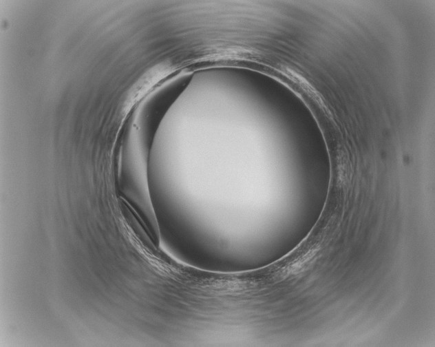 X0000059080885200510172027