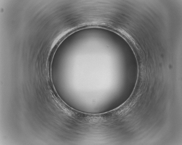 X0000059080886200510172027