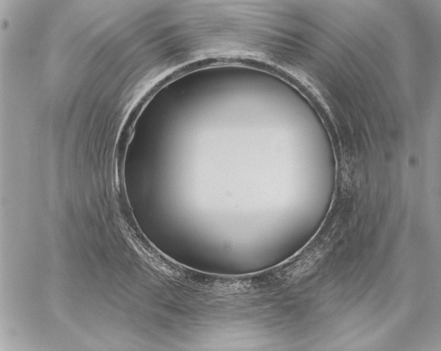 X0000059080887200510172027