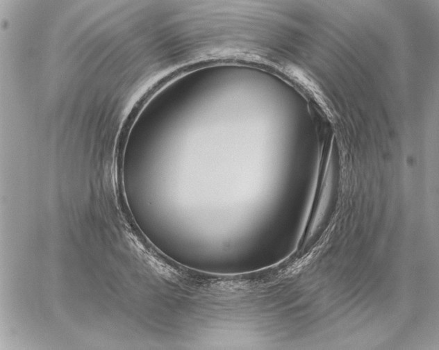 X0000059080888200510172027