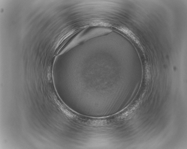 X0000059080889200510172027