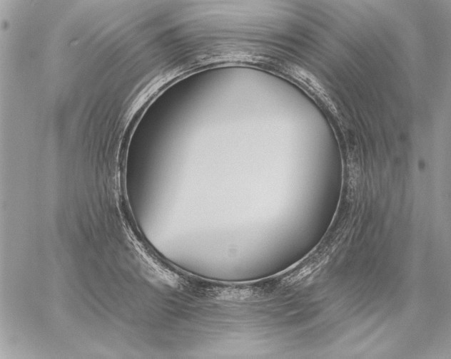 X0000059080890200510172027