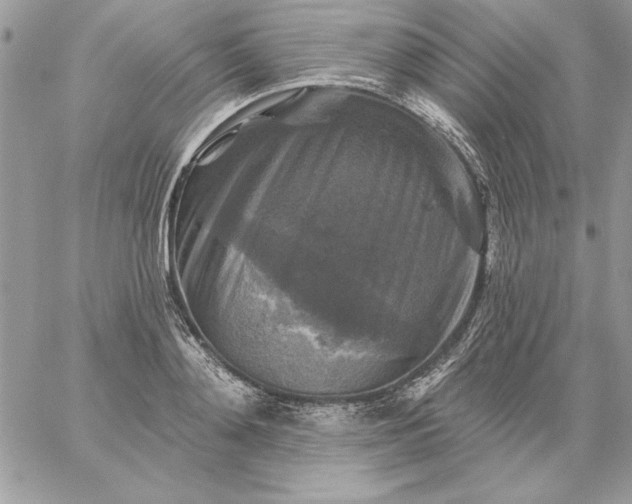 X0000059080892200510172027