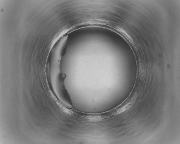 X0000059080893200510172027