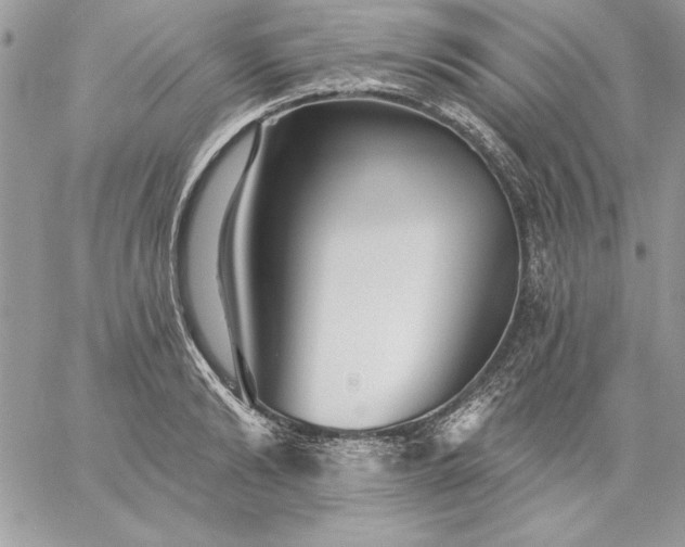 X0000059080894200510172027