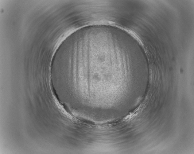 X0000059080895200510172027