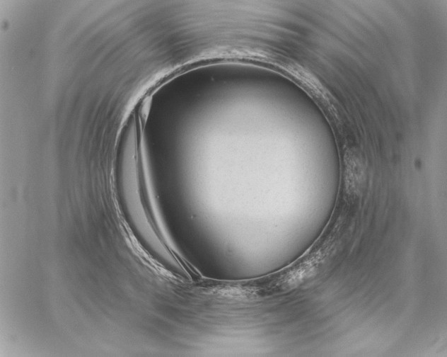 X0000059080896200510172027